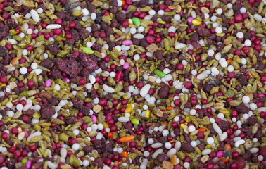 Indian Various Sweet Stall Snack