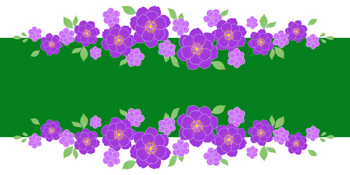 奥ゆかしく古風な雰囲気もする紫の八重の花