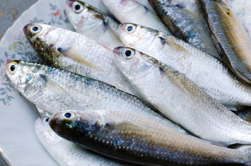 Fresh Mullet Fish for Cooking.