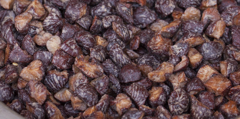 Indian Sweet Supari also know as Areca