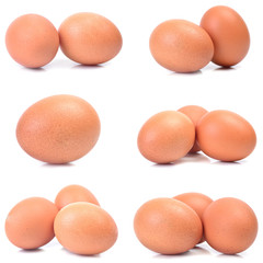 Fresh eggs