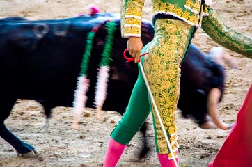 Foto auf Acrylglas Stierkampf Stierkämpfer in Grün, der dem Stier mit seinem Umhang einen Pass gibt