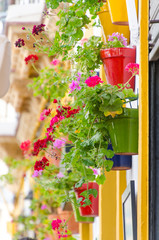 Fototapeta na wymiar Plant pots with geraniums in Cadiz