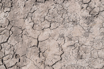 drought, the earth cracked due to drought, dry grass on the ground