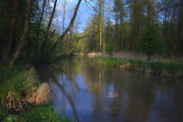 Fototapeta na wymiar Spokojna rzeka