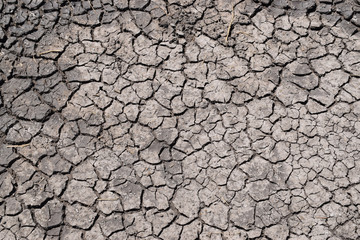 drought, the earth cracked due to drought, dry grass on the ground