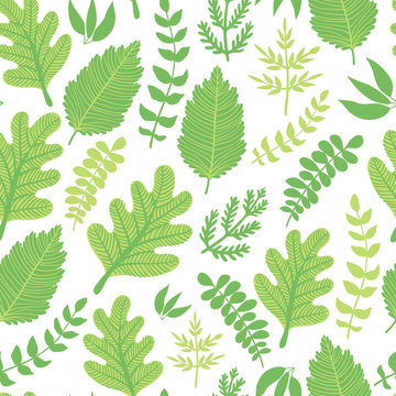 Vector seamless pattern with different green leaves on the white background