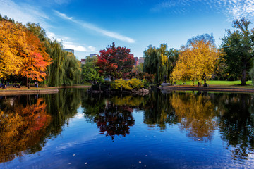 Pond in Boston Common Garden surrounded by colorful trees in fall season