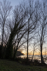 Fototapeta na wymiar Bare, naked trees silhouettes at sunset on Trasimeno lake shore (Umbria, Italy)