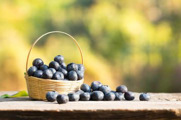 Blueberries in the basket