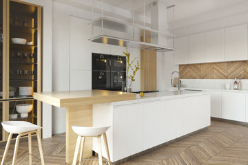 Modern kitchen interior
