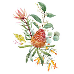 Watercolor australian banksia floral composition © zenina