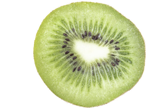 Macro sliced of Kiwi fruit isolated in clipping path