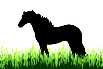 Vector silhouette of horse on a meadow on white background.