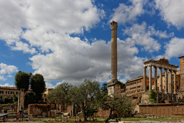 Fototapeta na wymiar Forum Romanum, Rome, Italy