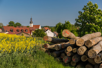 Fototapete bei efototapeten.de bestellen   