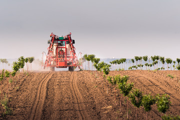 Tractor spraying pesticides on cherry orchard