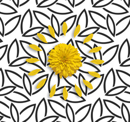 Yellow flower and petals on the black white floral background. Modern abstract floral background