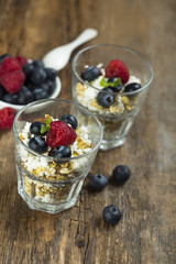 Low calorie dessert with cottage cheese, oats and berries