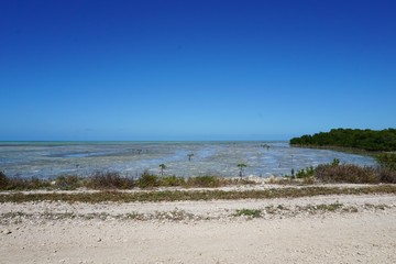 Lagune auf Cayo Coco, Kuba