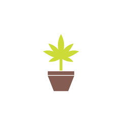 Marijuana plant in pot vector icon, flat style