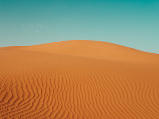 Fototapeta na wymiar Sand Dunes in the Sahara Desert