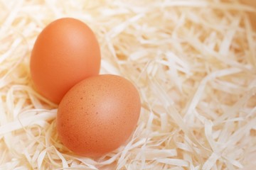 Two fresh easter eggs on the hay
