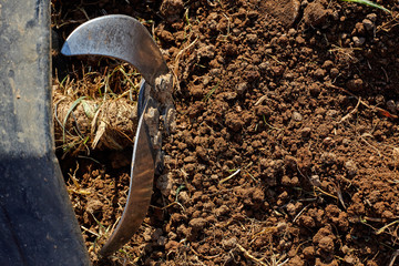  Motor cultivator on soil.