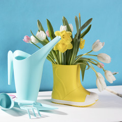 the Yellow rubber boots with a bouquet of flowers of yellow daffodils and white and pink tulips on white wooden table on the violet background. Garden accessories.