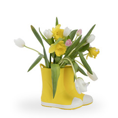 the Yellow rubber boots with a bouquet of flowers of yellow daffodils and white and pink tulips on white background. Garden accessories.