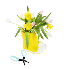 the Yellow rubber boots with a bouquet of flowers of yellow daffodils and white and pink tulips on white background. Garden accessories.