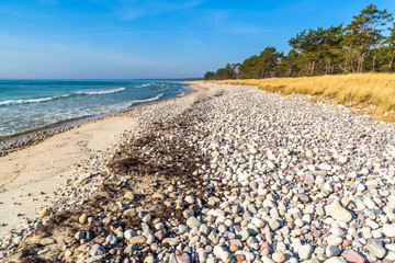 Boda coast eastern nature reserve on Oland, Sweden. Zones of naturally polished stones and sand followed by grass and then pine trees is typical of the regions beaches. © imfotograf