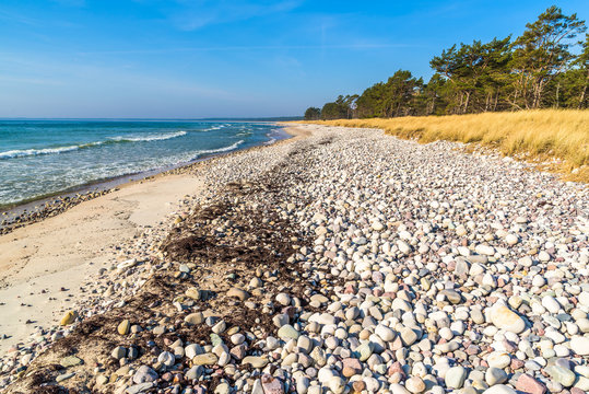 Boda coast eastern nature reserve on Oland, Sweden. Zones of naturally polished stones and sand followed by grass and then pine trees is typical of the regions beaches.