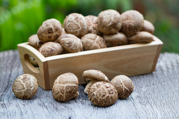 Shitake Mushrooms on wooden background