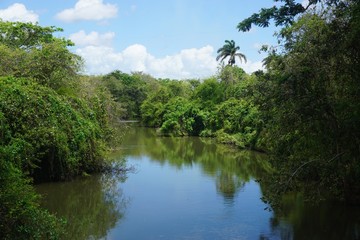 Fluss auf Kuba