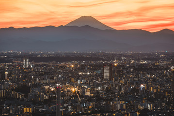 Tokyo skyline and buildings from above, view of the Tokyo prefecture with fuji mount in the background