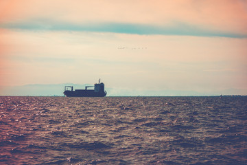 container ship at the background of a big sea