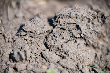 Patterns in dirt. Macro shot.