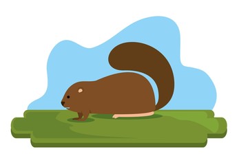 beaver canadian animal scene vector illustration design