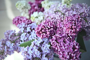 Poster Sering a bouquet of differently colored lilacs of different colors in a striped vase on a light background  © Tatyana Nazarenko