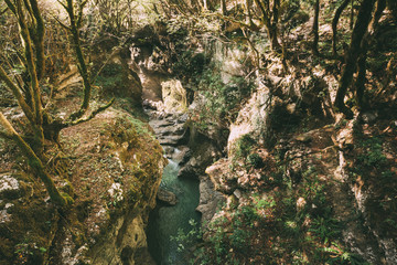 Martvili Canyon, Georgia. Landscape Abasha River. Natural Monuments