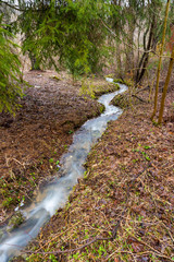 Small stream brook in the spring forest. Clean water, trees and leaves on the ground.