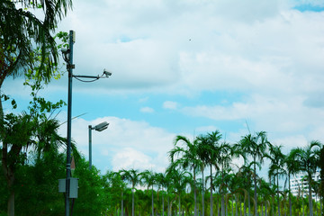the cctv camera pole near the tree with blue sky and many of palm trees at the city park