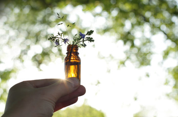 Fresh herbs - Natural remedies.