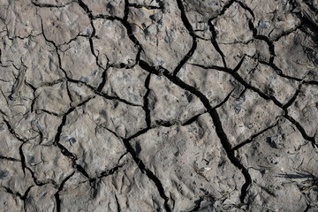 Cracked earth