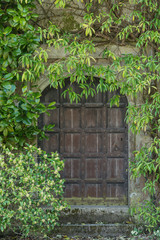 Beautiful vintage Victorian mansion entrance door surrounded by plants and tree