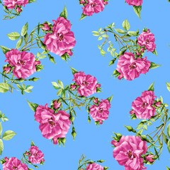 Seamless pattern of roses painted in watercolor.