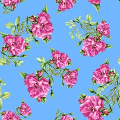 Poster Seamless pattern of roses painted in watercolor. © Svitlana