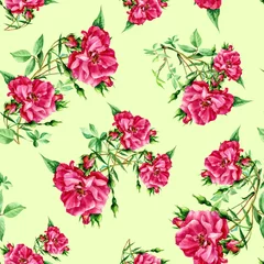 Foto op Plexiglas Seamless pattern of roses painted in watercolor. © Svitlana
