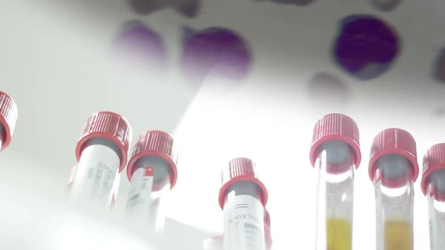 Scientist or doctor testing in laboratory for analysis or researching